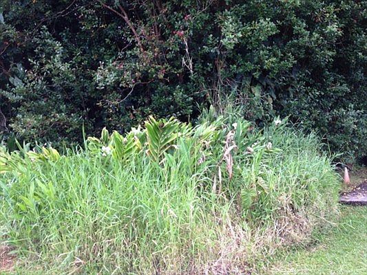 2nd image of Henele Rd Lot 353