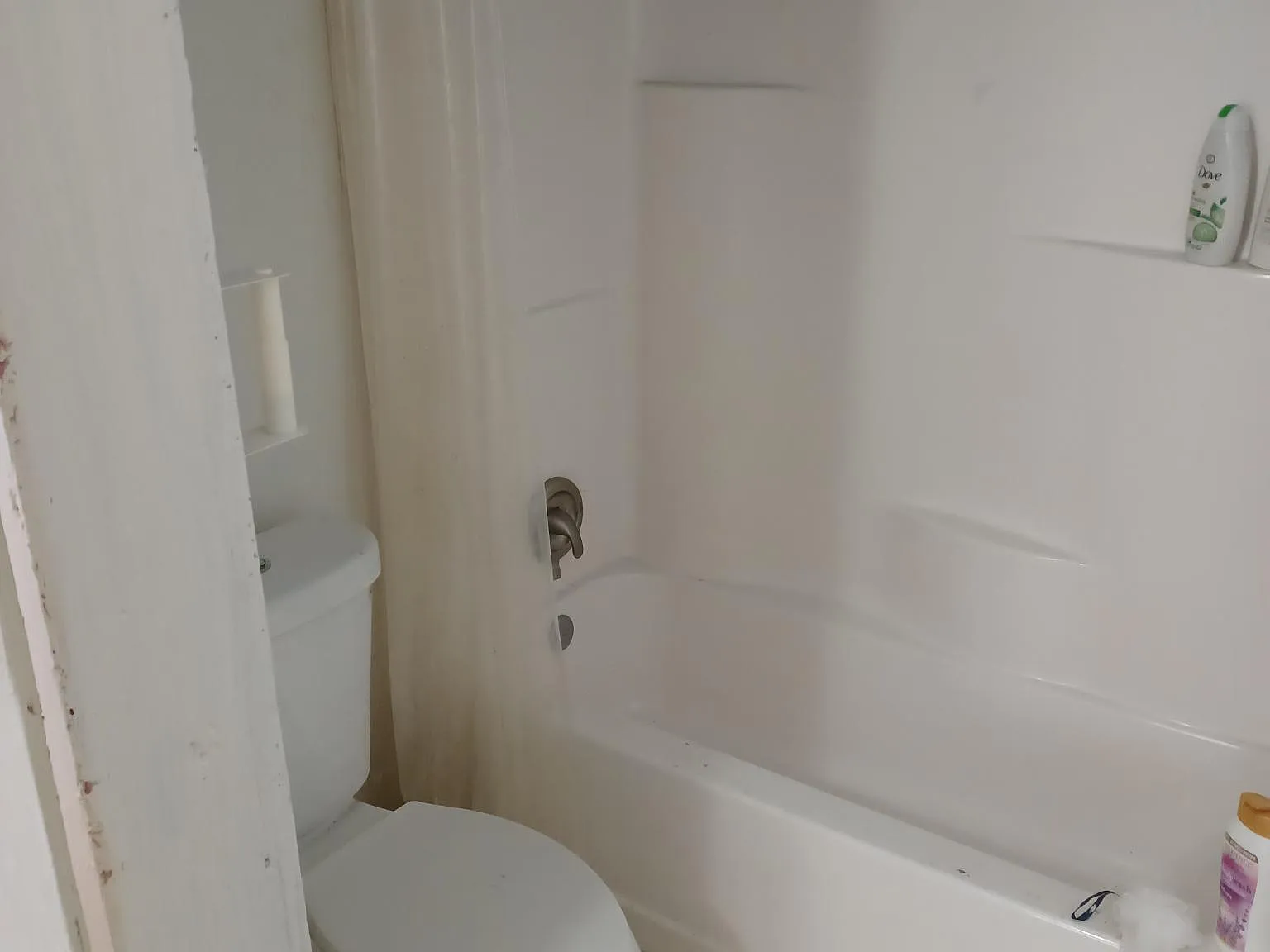 2 bed, 840 sqft, $1,250 — Photo 3