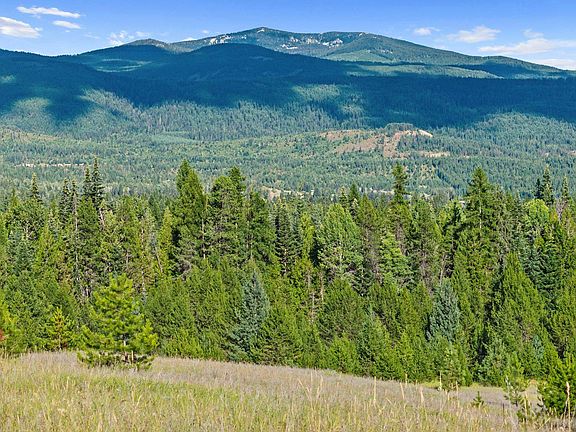 4th image of 247 Schlegel Ranch Rd