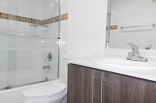 Shower with Tub and Glass Enclosures