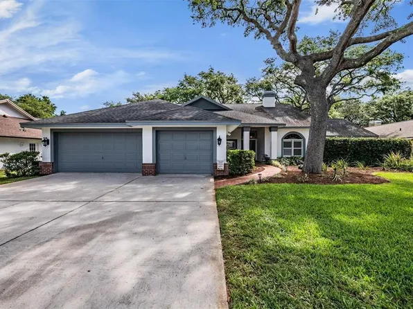 2542 Mason Oaks Dr, Valrico, FL 33596