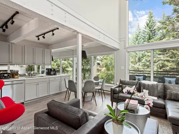 1024 E Cooper Ave APT 2, Aspen, CO 81611