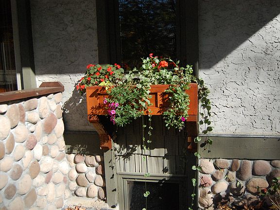 Swiss style flower boxes