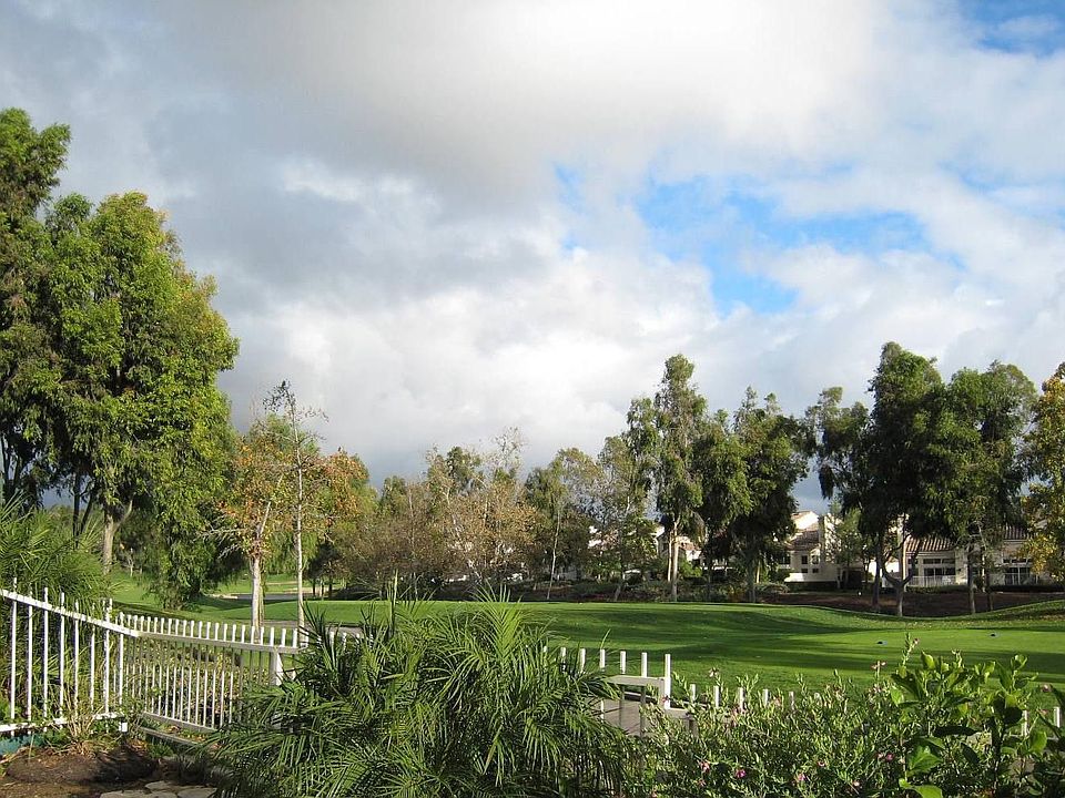 Backyard View#1