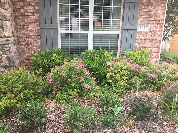 Flowering shrubs