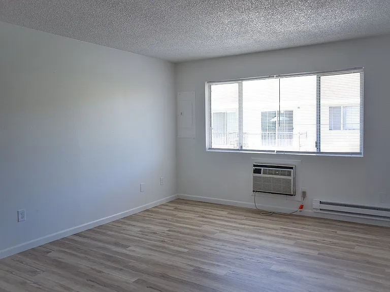 Kathy-Ann Apartments — Photo 27