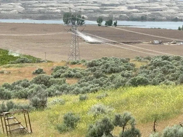 Nka Ringold Rd, Eltopia, WA 99330