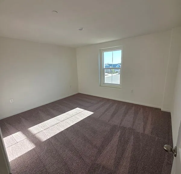 2386 Satin Leaf Ct — Photo 17