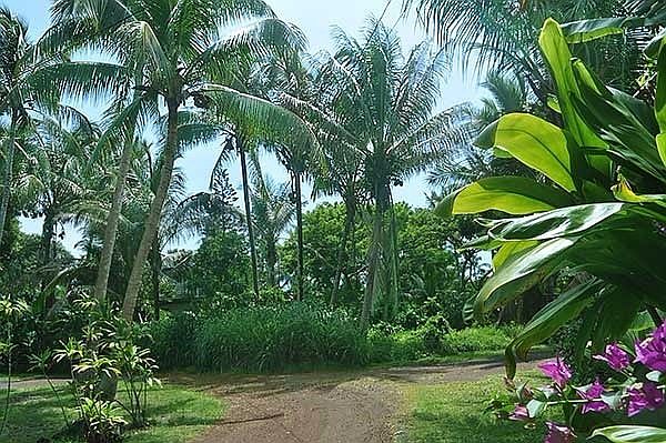 1st image of Kalapana Beach Hvn