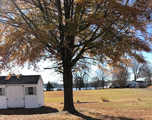 59 Mattox Bay Dr Photo 1