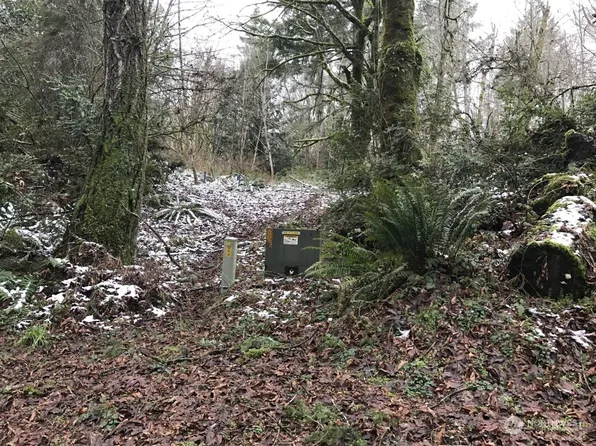 0 XXX 142nd Avenue SW, Lakebay, WA 98349