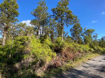 Jungle King Ave Lot 57, Volcano, HI, 96785