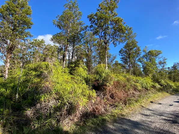Jungle King Ave Lot 57, Volcano, HI 96785
