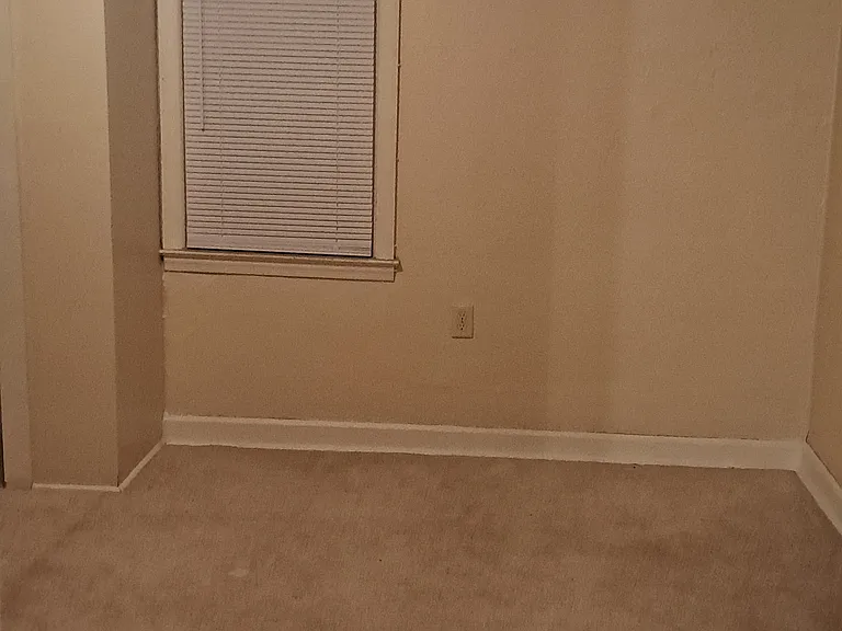 431 W Nelson St #B — Photo 6