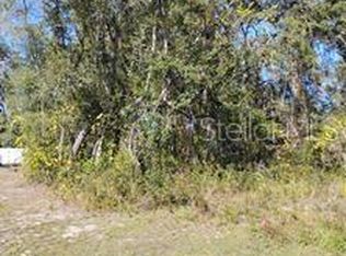 TBD SE 61ST PLACE LOT 11, OCKLAWAHA, FL 32179