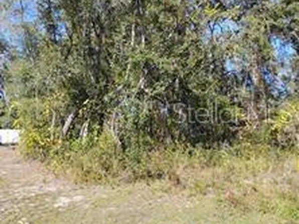 TBD SE 61ST PLACE LOT 11, OCKLAWAHA, FL 32179
