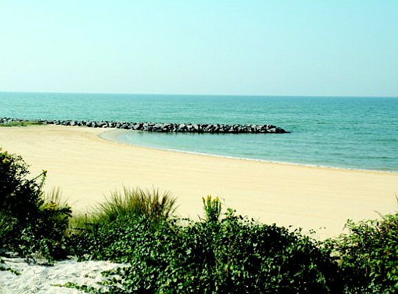 3rd image of 5 Kings Ct