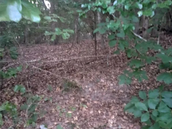 0 Wildwood, Murchison, TX 75778