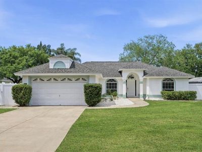 36703 Sundance Dr, Grand Island, FL, 32735