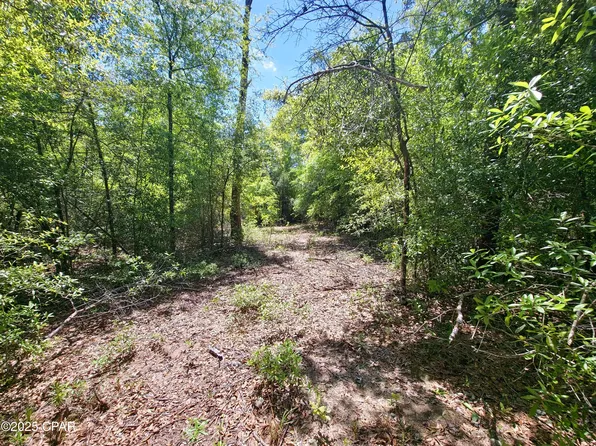 LOT 5 Gardenia Dr, Marianna, FL 32448