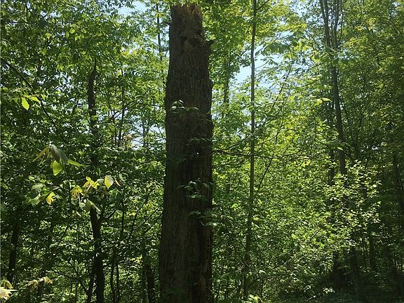 3rd image of 0 Fowlers Mill Rd