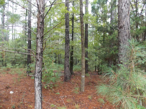 29 SADIE LANE, Lincolnton, GA 30817