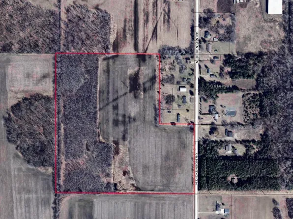 N Dickenson Rd, Coleman, MI 48618