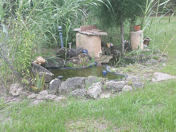 Pond