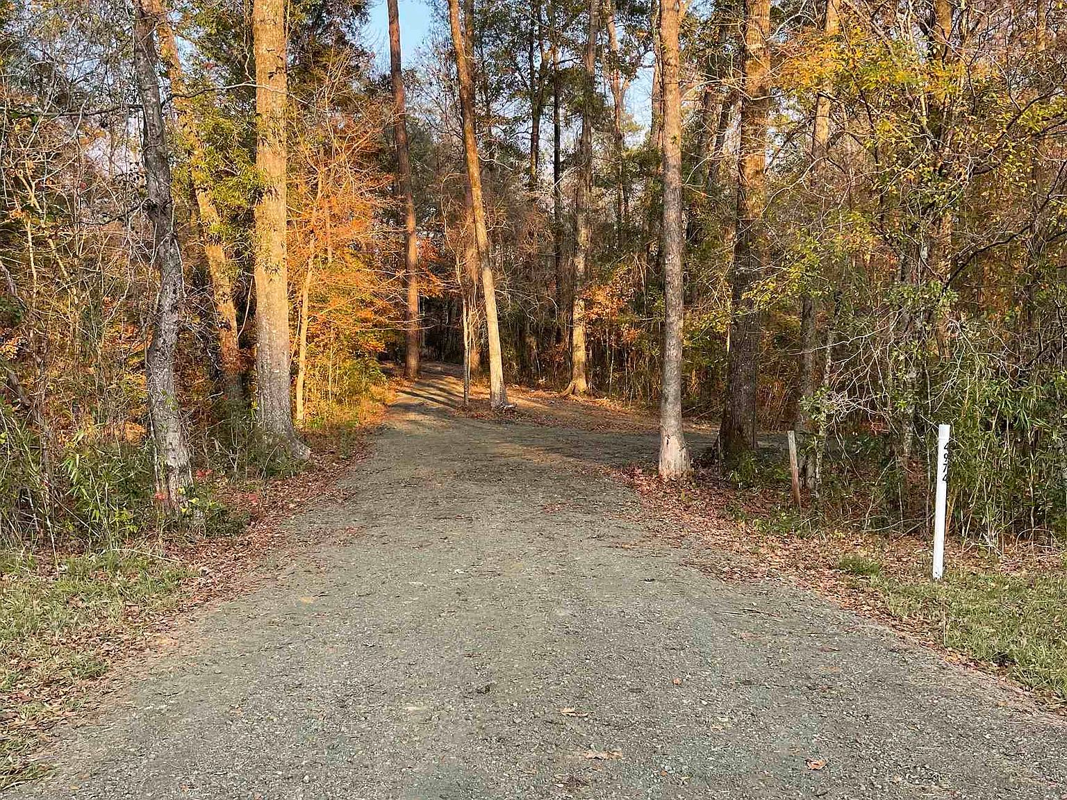 4974 High Way 96, Pineland, TX 75968 Zillow