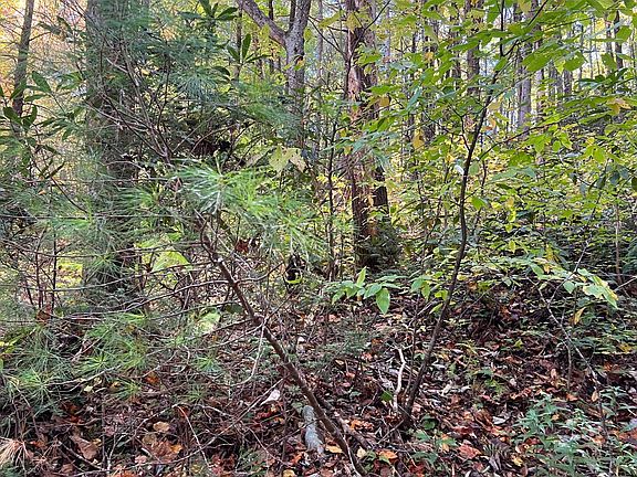 4th image of Township Road 1 Tusquittee Rd