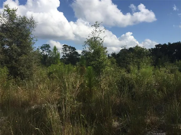 18055 SW 200th St Lot 17, Archer, FL 32618