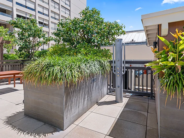 1717 Mott Smith Dr #2904 — Photo 37