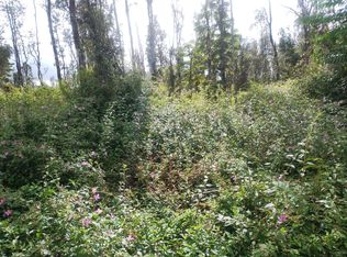 Pahoa Rd LOT 243, Pahoa, HI 96778