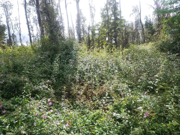 Pahoa Rd Lot 243, Pahoa, HI 96778