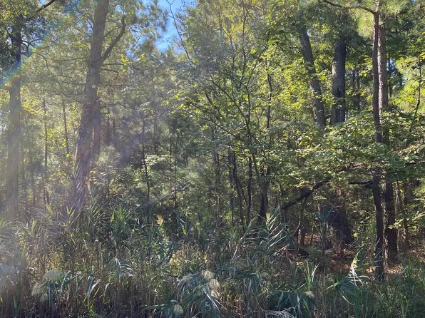 Parsons Dr, Madison, MD 21648