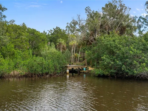 6176 S Hancock Rd, Homosassa, FL 34448