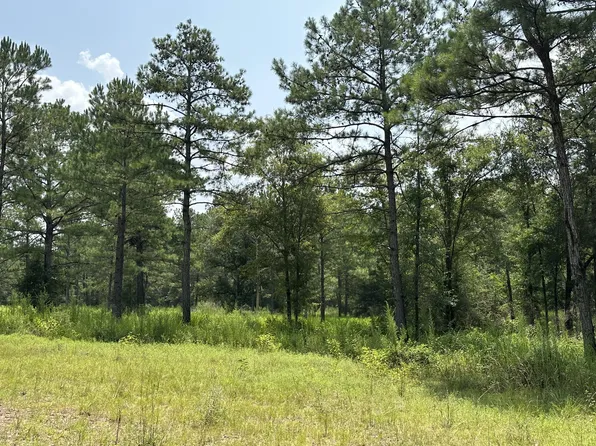 PARCEL Frost Ln #B, Laurel Hill, FL 32567