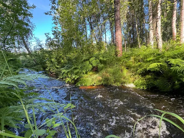 9353 N Blackie Loop, Willow, AK 99688