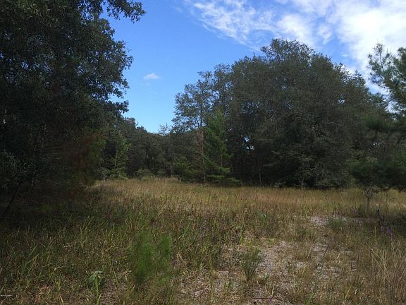 5th image of 1015 Seminole Bear Trl