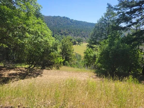 13340 Poonkinney Road, Willits, CA 95428