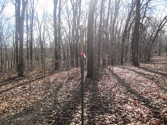 4th image of 1148 W River Bluff Dr