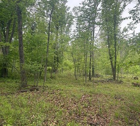 2nd image of 1311 Red Hill Rd