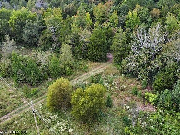 5th image of 10489 Bear Track Rd