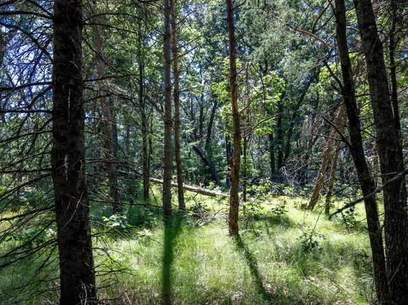 10.42 acres Kelsey Lane, Lyndon Station, WI 53944