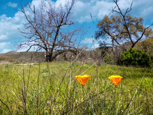 540 Music Gulch Rd, Mokelumne Hill, CA 95245