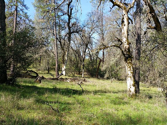 2nd image of 19230 Black Oak Dr