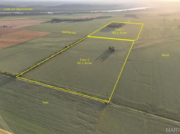 TRACT Two 2806 Steffen Rd, Fults, IL 62244