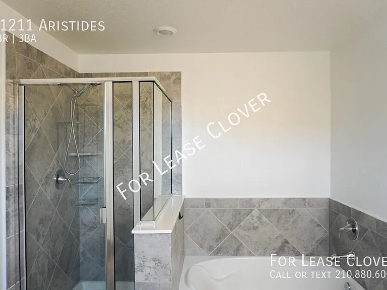 11211 Aristides — Photo 21