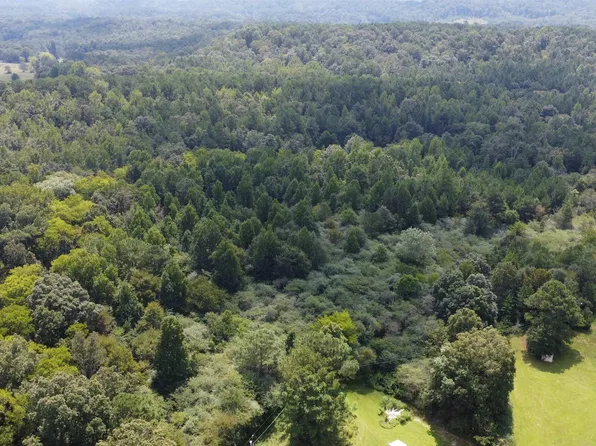 8895 Morning Glory Trl #1, Dora, AL 35062