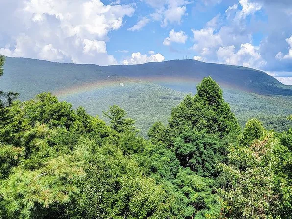Tract B Easy Springs, Sapphire, NC 28774